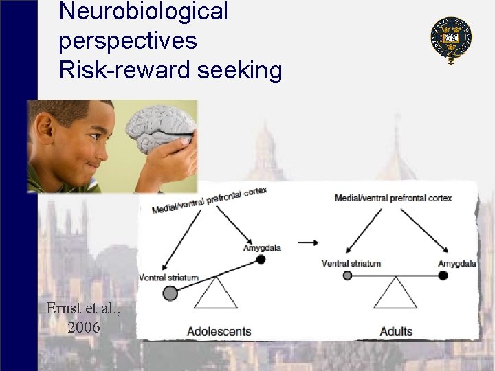 Neurobiological perspectives Risk-reward seeking Ernst et al. , 2006 