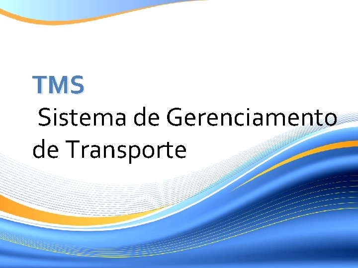 TMS Sistema de Gerenciamento de Transporte 