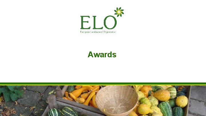Awards Awards