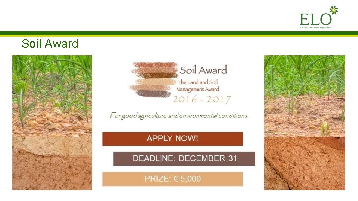 Soil Award Soil Award