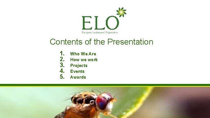 Contents of the Presentation 1. 2. 3. 4. 5. Who We Are How we Contents of the Presentation 1. 2. 3. 4. 5. Who We Are How we
