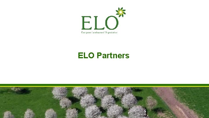 ELO Partners ELO Partners
