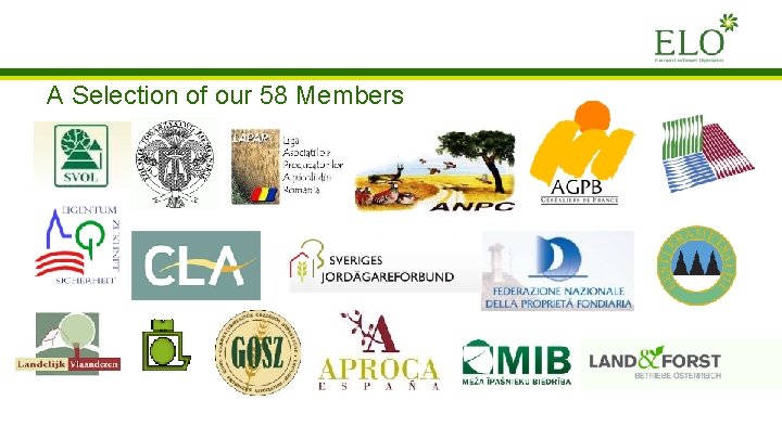 A Selection of our 58 Members A Selection of our 58 Members