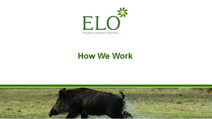 How We Work How We Work