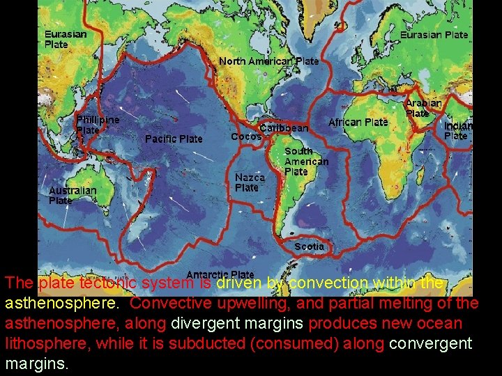 The plate tectonic system is driven by convection within the asthenosphere. Convective upwelling, and