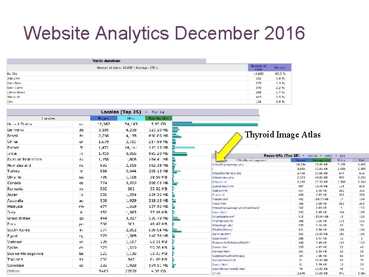 Website Analytics December 2016 Thyroid Image Atlas 