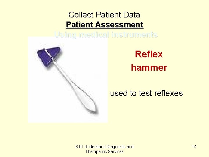 Collect Patient Data Patient Assessment Using medical instruments Reflex hammer used to test reflexes