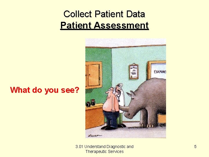 Collect Patient Data Patient Assessment What do you see? 3. 01 Understand Diagnostic and