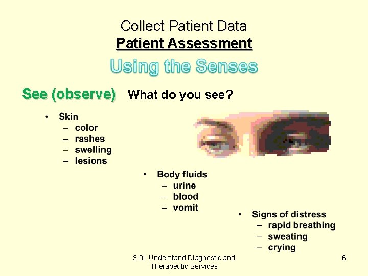 Collect Patient Data Patient Assessment See (observe) What do you see? 3. 01 Understand