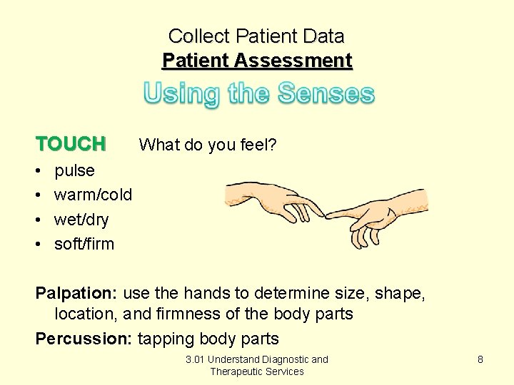 Collect Patient Data Patient Assessment TOUCH • • What do you feel? pulse warm/cold