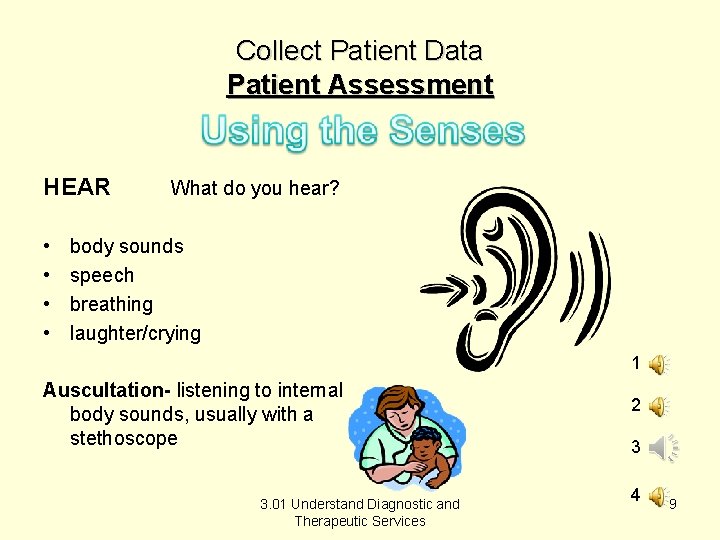 Collect Patient Data Patient Assessment HEAR • • What do you hear? body sounds