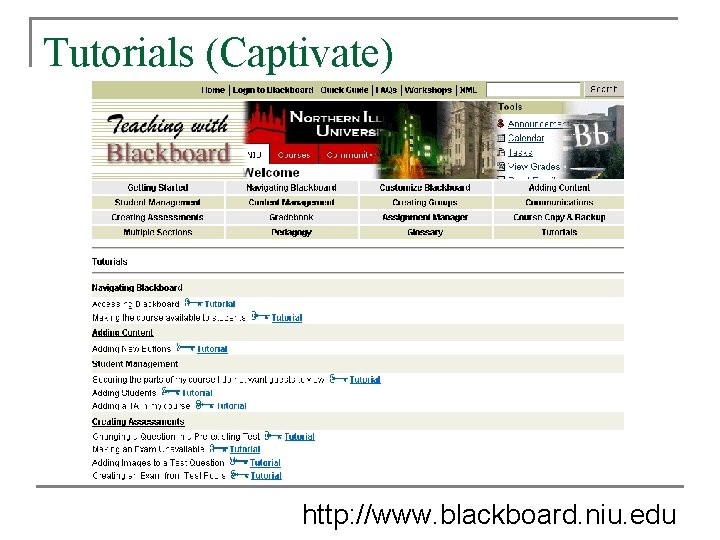 Tutorials (Captivate) http: //www. blackboard. niu. edu Tutorials (Captivate) http: //www. blackboard. niu. edu