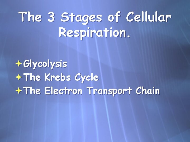 The 3 Stages of Cellular Respiration. Glycolysis The Krebs Cycle The Electron Transport Chain