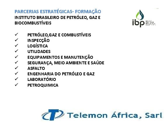 PARCERIAS ESTRATÉGICAS- FORMAÇÃO INSTITUTO BRASILEIRO DE PETRÓLEO, GAZ E BIOCOMBUSTÍVEIS ü ü ü ü