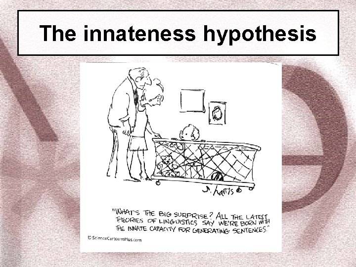 The innateness hypothesis 