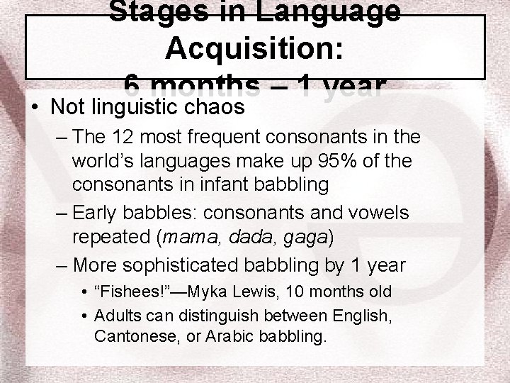 Stages in Language Acquisition: 6 months – 1 year • Not linguistic chaos –