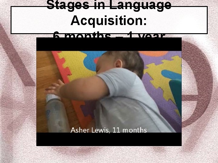 Stages in Language Acquisition: 6 months – 1 year 