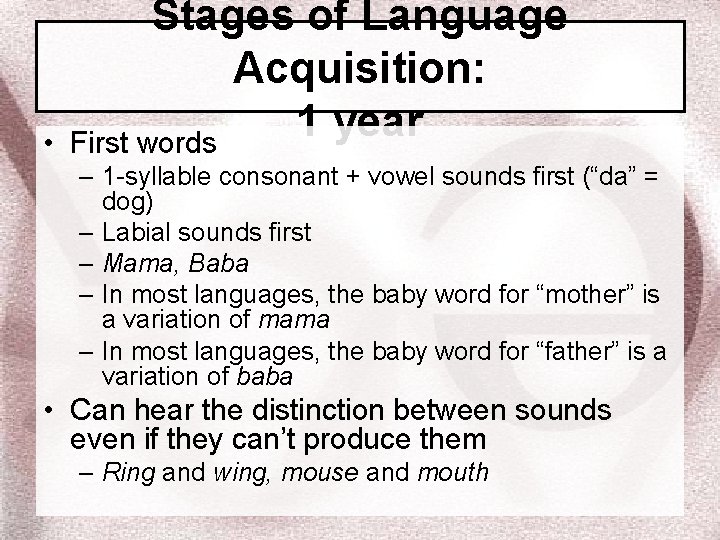  • Stages of Language Acquisition: 1 year First words – 1 -syllable consonant
