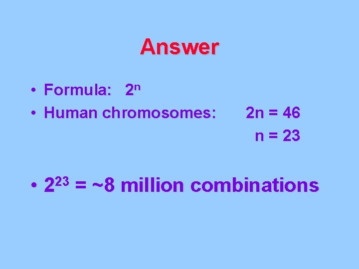 Answer • Formula: 2 n • Human chromosomes: 2 n = 46 n =
