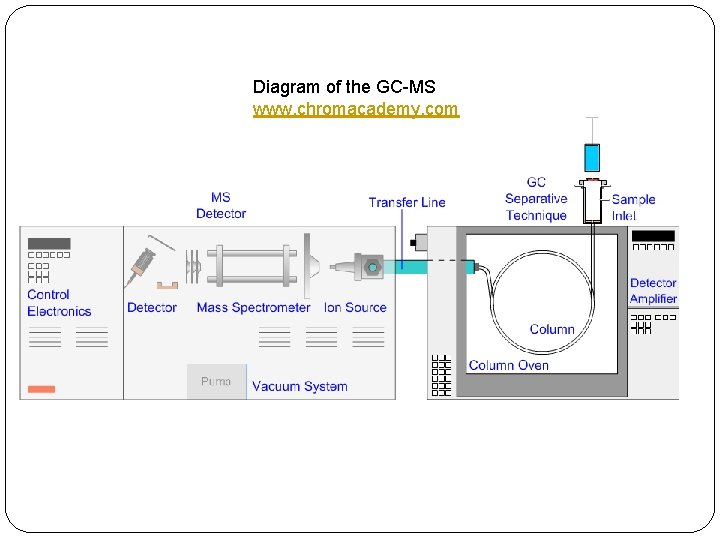 Diagram of the GC-MS www. chromacademy. com 