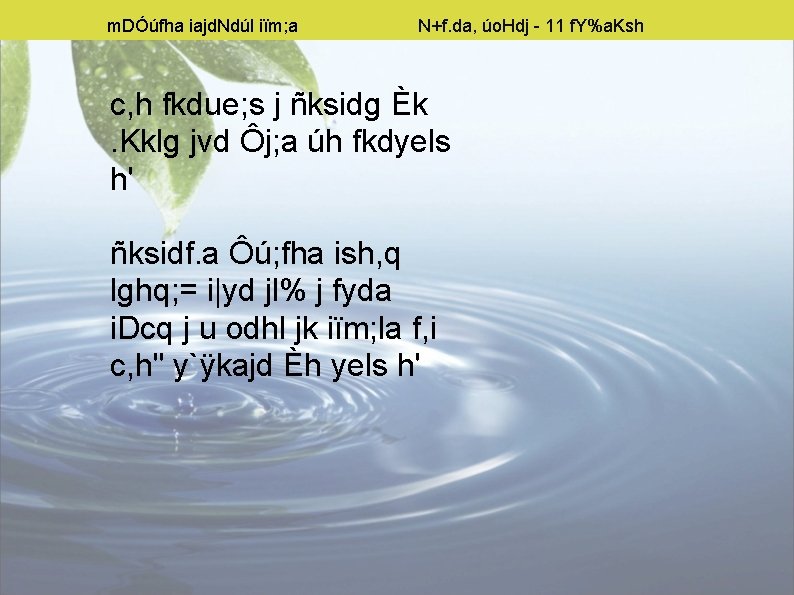 M Dfha Iajd Ndl Im A 1 Jk