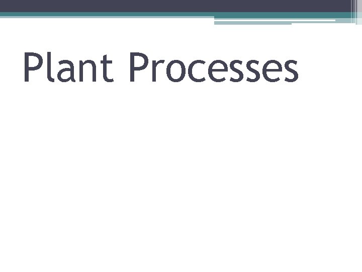 Plant Processes 