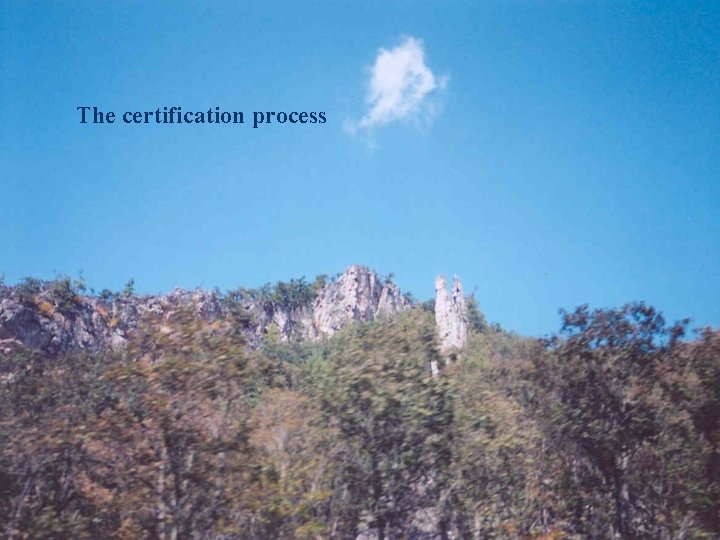 The certification process 