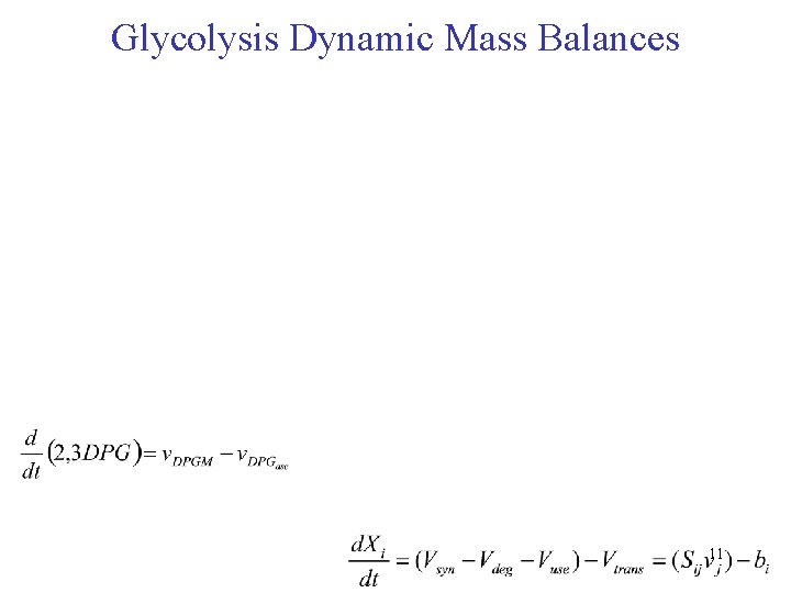 Glycolysis Dynamic Mass Balances 11 