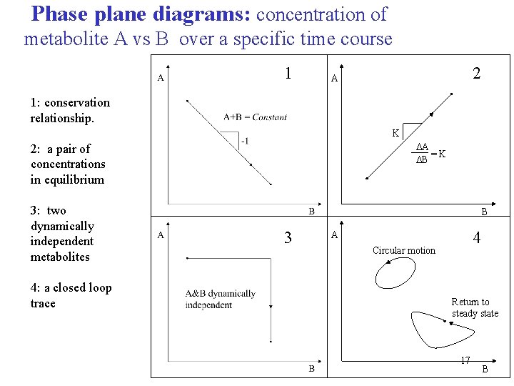 Phase plane diagrams: concentration of metabolite A vs B over a specific time course