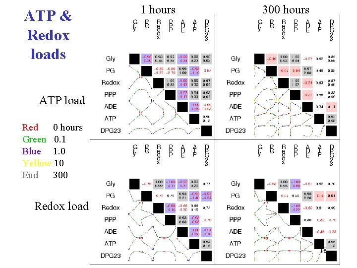 ATP & Redox loads 1 hours 300 hours ATP load Red 0 hours Green