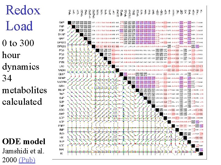 Redox Load 0 to 300 hour dynamics 34 metabolites calculated ODE model Jamshidi et