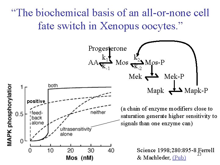 “The biochemical basis of an all-or-none cell fate switch in Xenopus oocytes. ” Progesterone