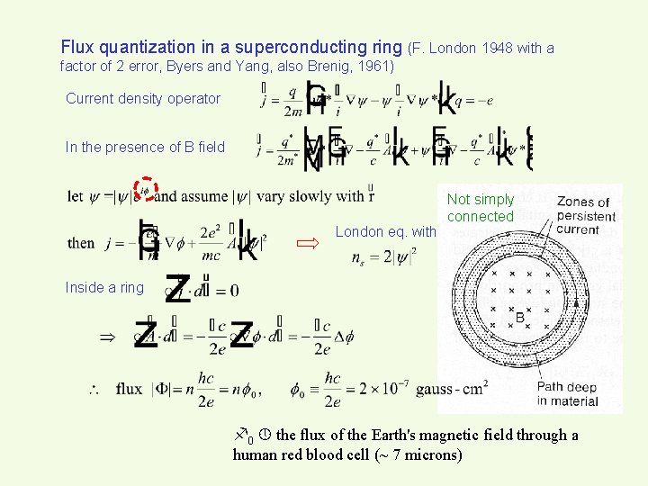Flux quantization in a superconducting ring (F. London 1948 with a factor of 2