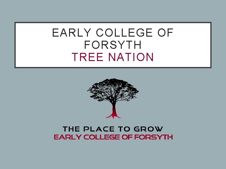 EARLY COLLEGE OF FORSYTH TREE NATION 