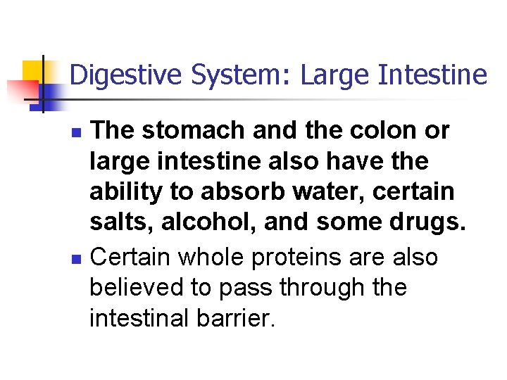 Digestive System: Large Intestine The stomach and the colon or large intestine also have