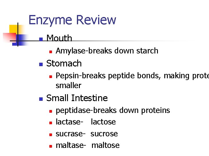 Enzyme Review n Mouth n n Stomach n n Amylase-breaks down starch Pepsin-breaks peptide