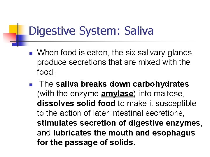 Digestive System: Saliva n n When food is eaten, the six salivary glands produce