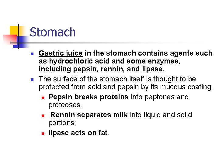 Stomach n n Gastric juice in the stomach contains agents such as hydrochloric acid