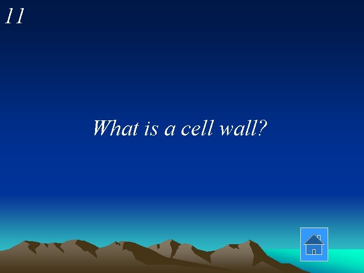 11 What is a cell wall? 