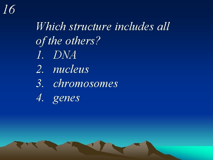 16 Which structure includes all of the others? 1. DNA 2. nucleus 3. chromosomes
