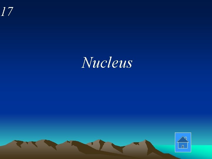 17 Nucleus 