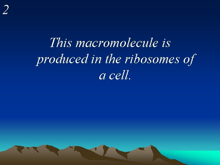2 This macromolecule is produced in the ribosomes of a cell. 