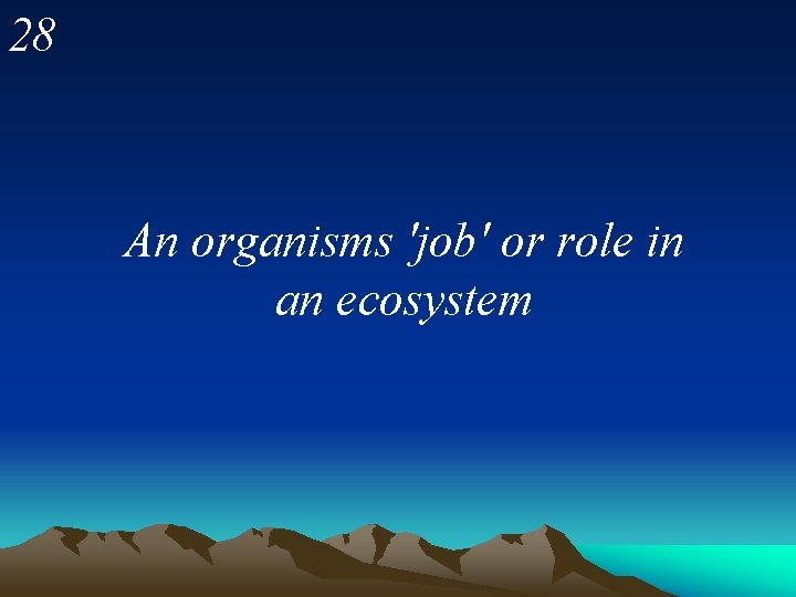 28 An organisms 'job' or role in an ecosystem 