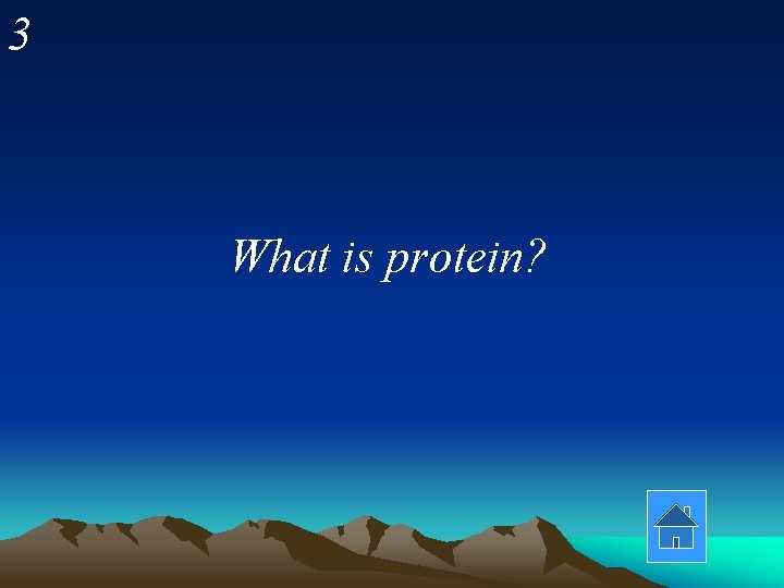3 What is protein? 