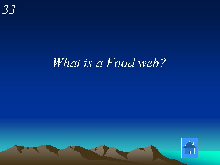 33 What is a Food web? 