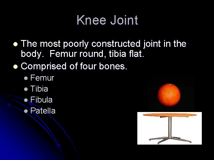 Knee Joint The most poorly constructed joint in the body. Femur round, tibia flat.