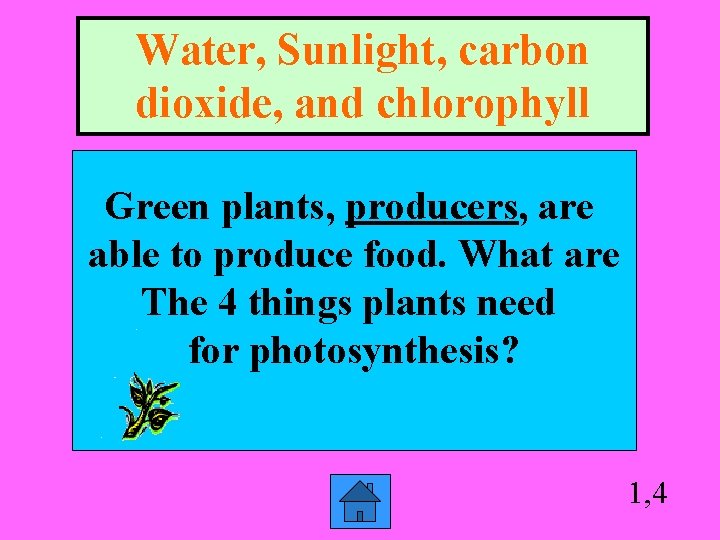 Water, Sunlight, carbon dioxide, and chlorophyll Green plants, producers, are able to produce food.
