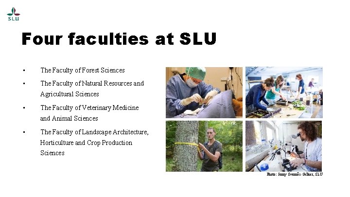 Four faculties at SLU • The Faculty of Forest Sciences • The Faculty of