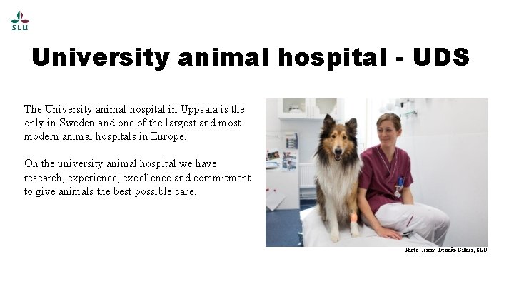 University animal hospital - UDS The University animal hospital in Uppsala is the only