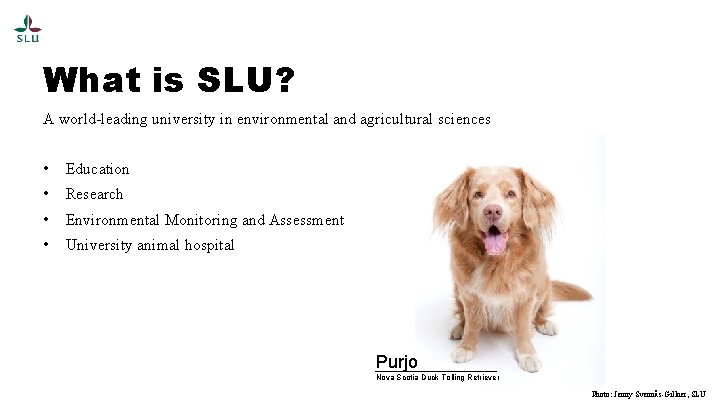 What is SLU? A world-leading university in environmental and agricultural sciences • Education •